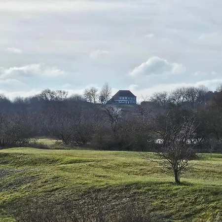 Hoge Blekker * Koksijde